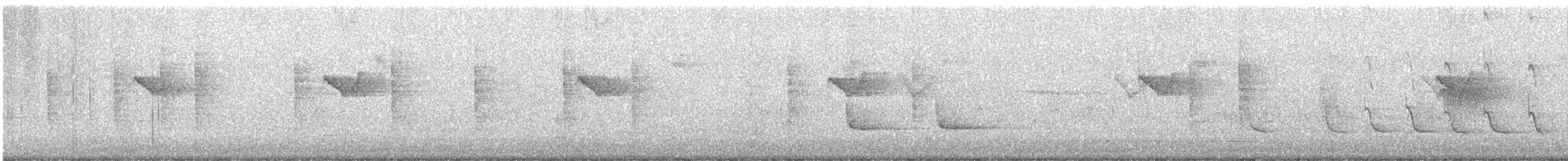 Black-collared Starling - ML647070631