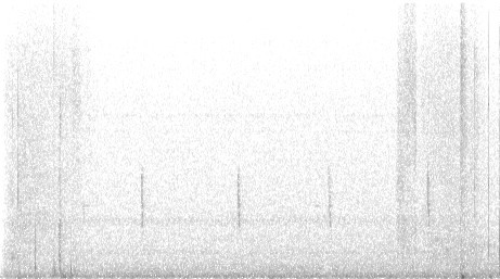 Hepatic Tanager - ML647070909