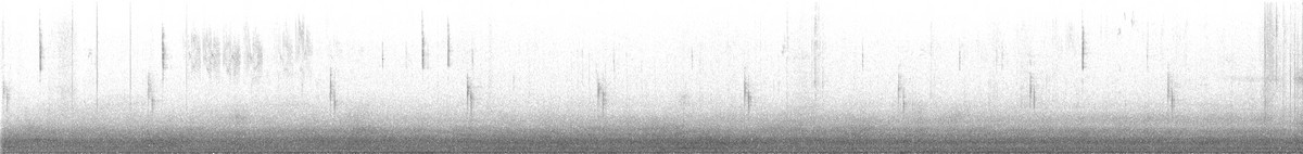 ナツフウキンチョウ - ML647071149