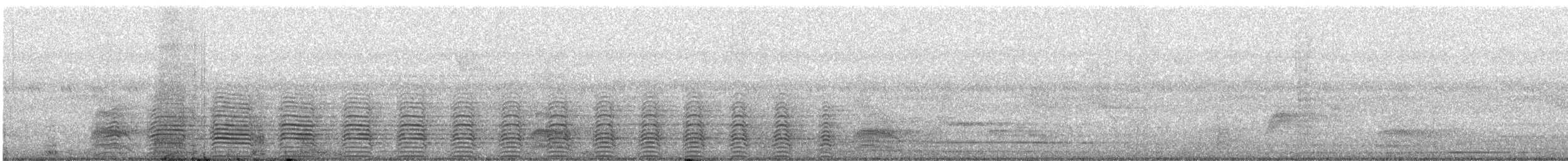 Silberwangen-Hornvogel - ML647071433