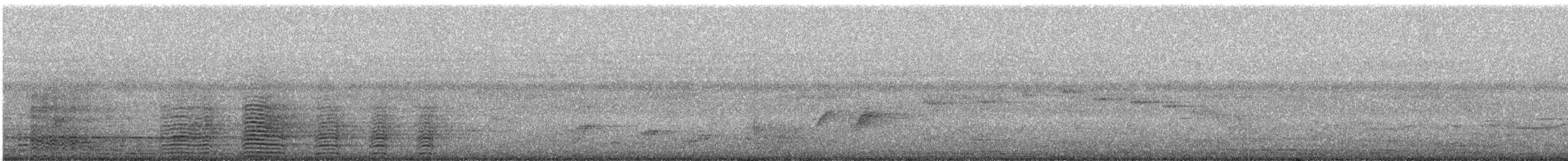 Silberwangen-Hornvogel - ML647071434