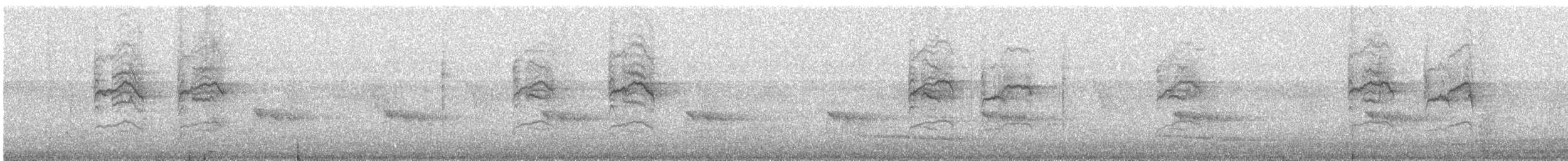 Halsband-Nektarvogel - ML647071443