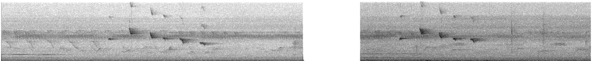 Olivnektarvogel - ML647071449