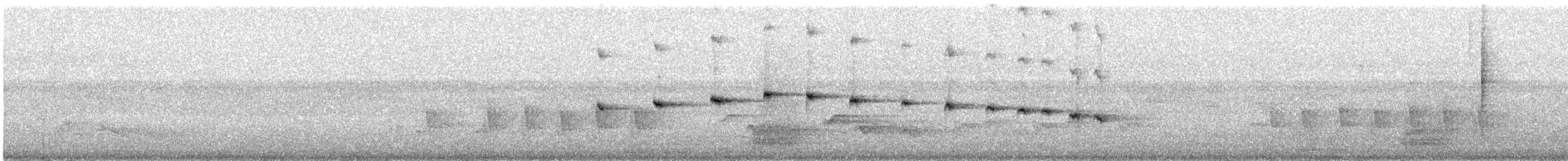 Olivnektarvogel - ML647071450