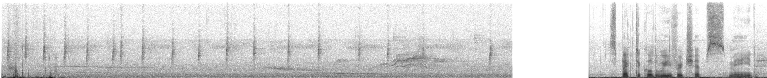 Brillenweber (ocularis/suahelicus) - ML647071454