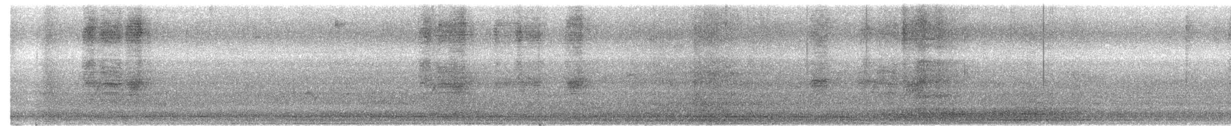 Black Drongo - ML647072908