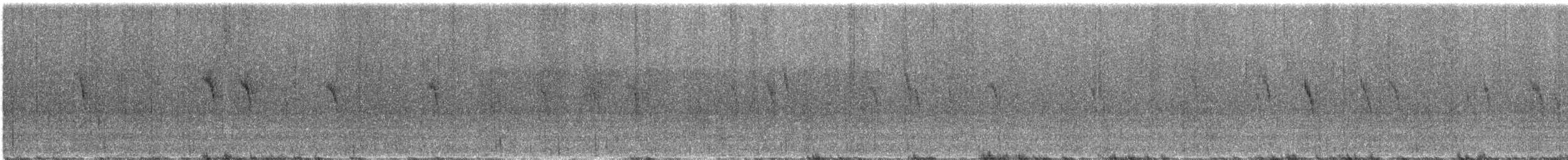 konipas bílý - ML647073351