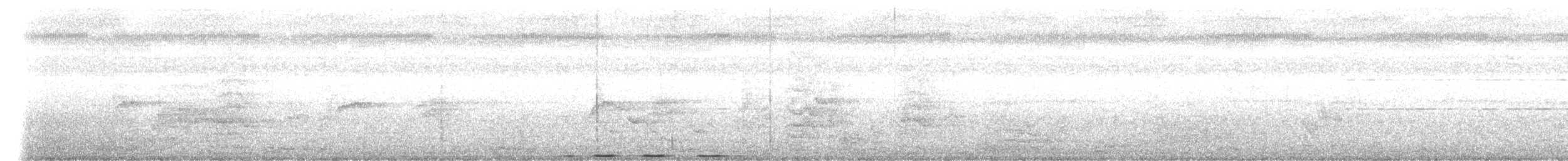 Greater Coucal - ML647073740