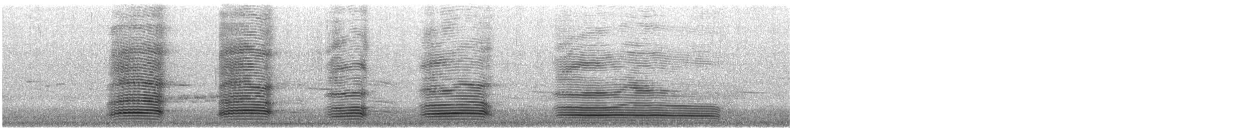 Australian Raven - ML647073779