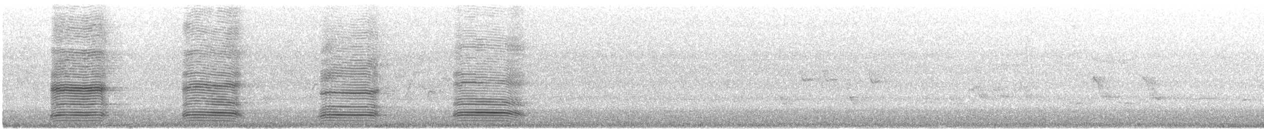 Australian Raven - ML647073780