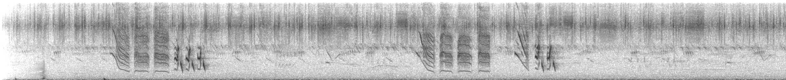 Rattling Cisticola - ML647074033