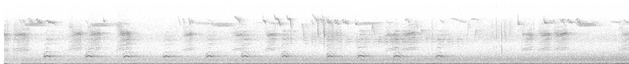 Carolina Chickadee - ML647074325