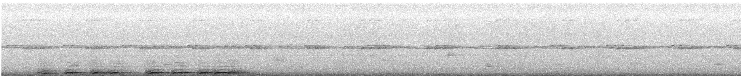 Barred Owl - ML647074633