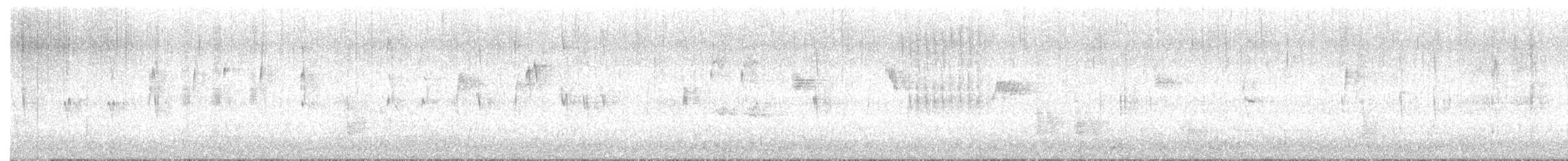 White-throated Dipper - ML647074651