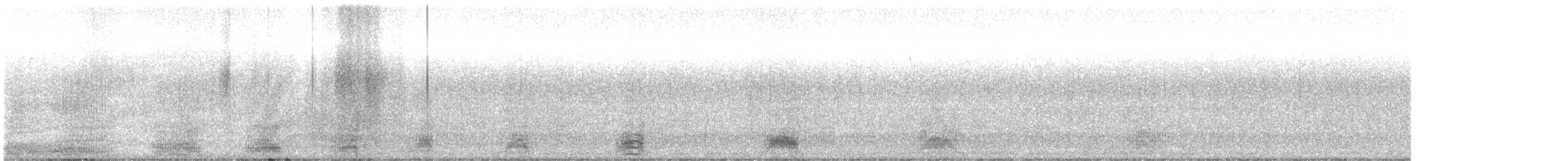 Koartza hauskara amerikarra - ML647075214