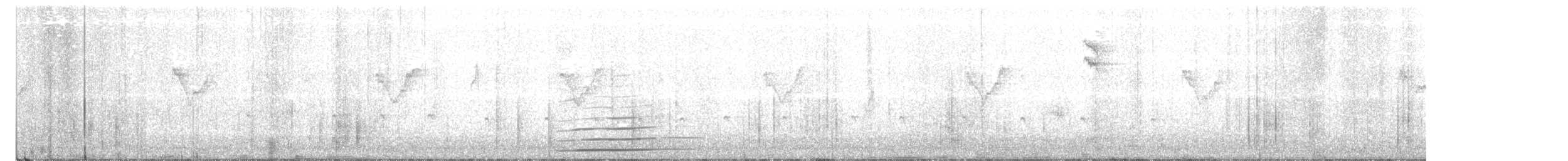 Pouillot à grands sourcils - ML647075446