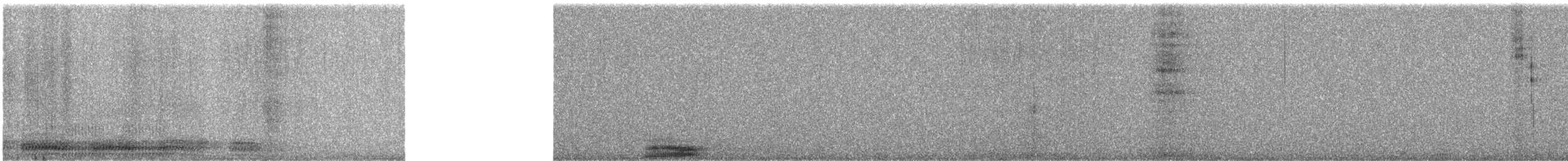 Common Raven - ML647075535