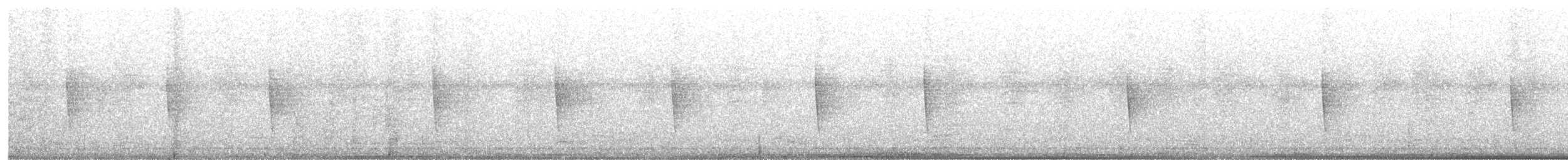 סבכון קנטקי - ML647075756