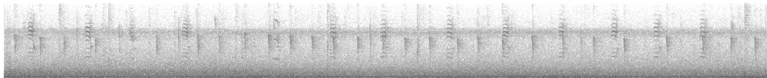 סבכון לבן-זנב - ML647075766