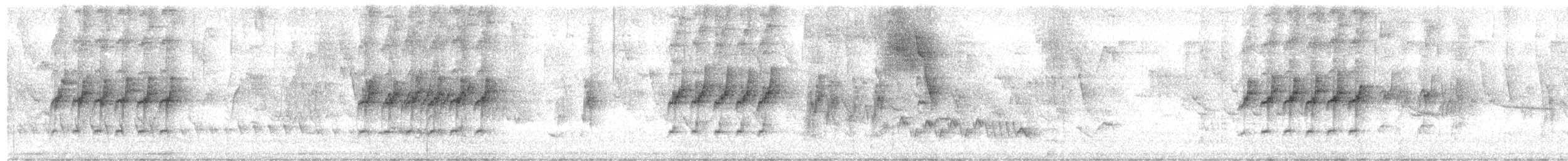 Cobalt-rumped Parrotlet - ML647075790