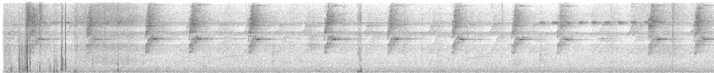 Long-billed Hermit - ML647076236