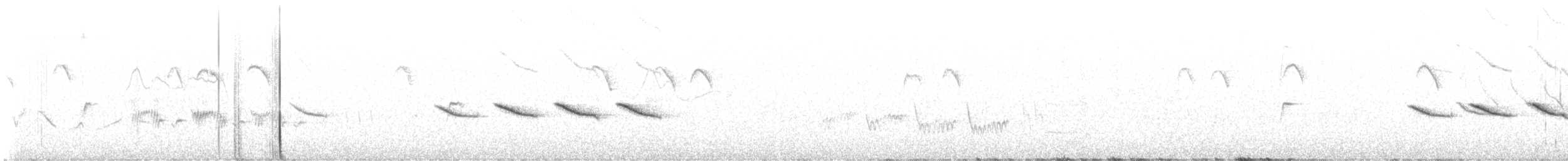 Willow Warbler - ML647077630