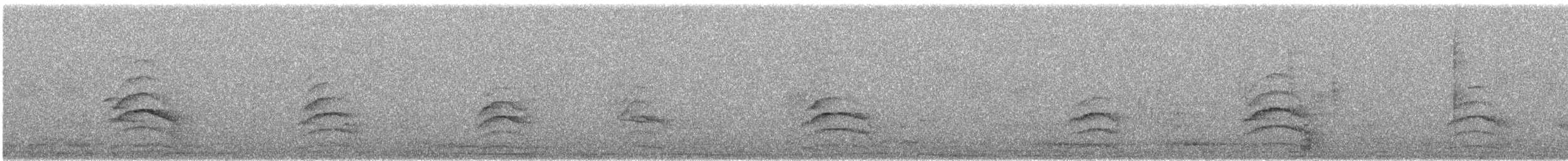 דורס יום בלתי-מזוהה (עקב) - ML647077697