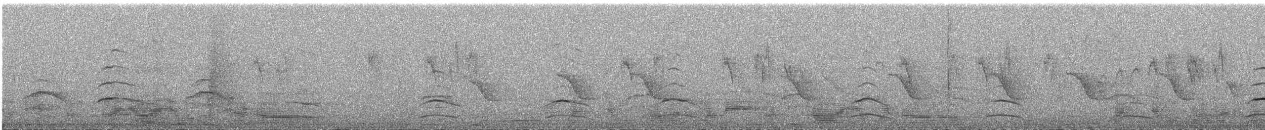 דורס יום בלתי-מזוהה (עקב) - ML647077701