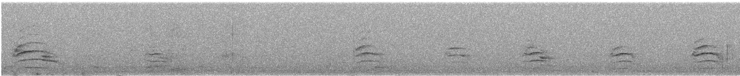 דורס יום בלתי-מזוהה (עקב) - ML647077702