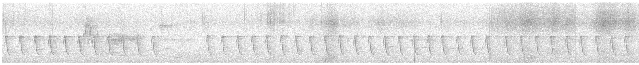 オナガサイホウチョウ - ML647078151