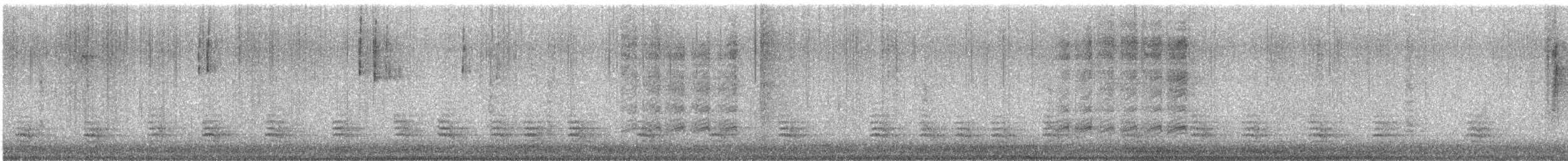 White-breasted Nuthatch (Eastern) - ML647078591