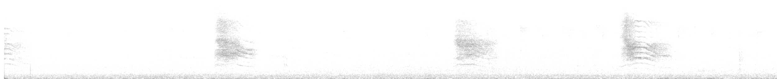 Miaulari grisa - ML647079022