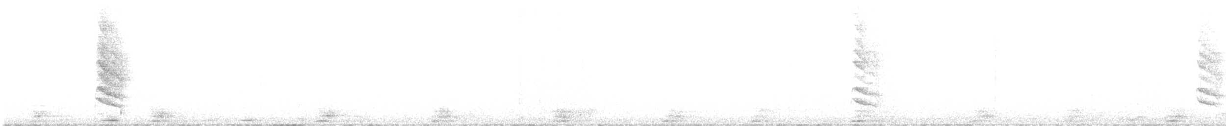 Miaulari grisa - ML647079024