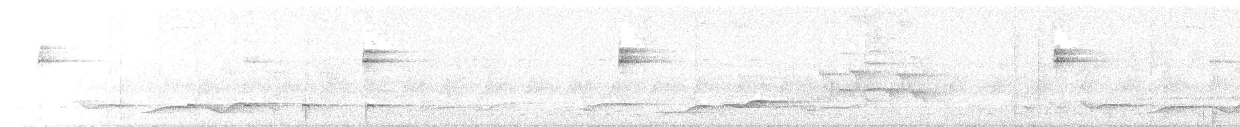 Abbott's Babbler - ML647079075