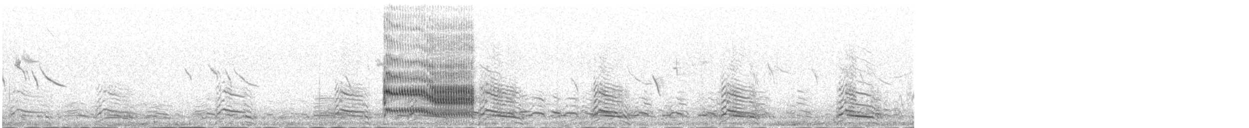 שחפית ים - ML647080373