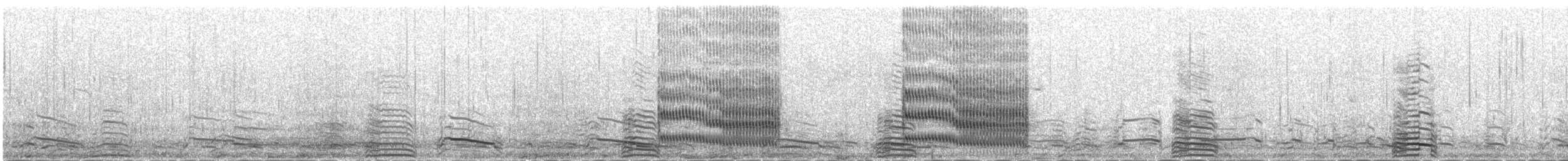 שחפית ים - ML647080374