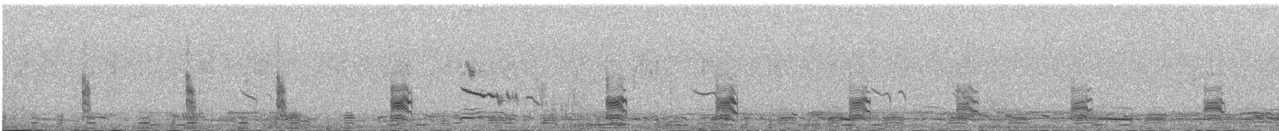 Isabellwürger - ML647080393