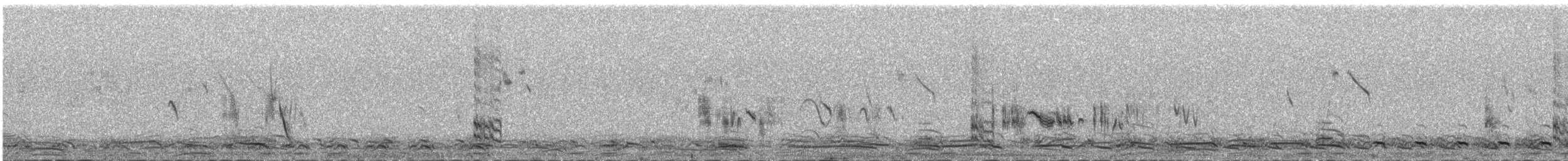 Isabellwürger - ML647080394