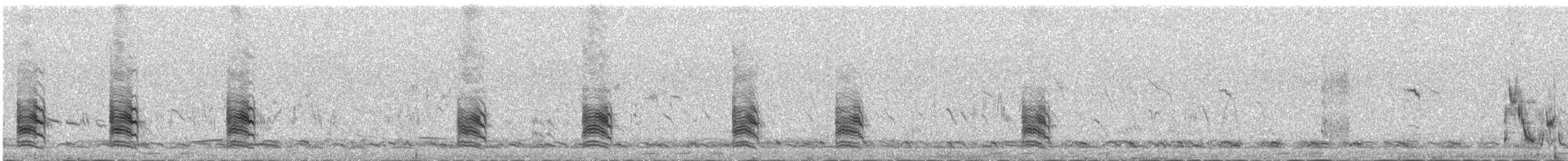 Isabellwürger - ML647080395