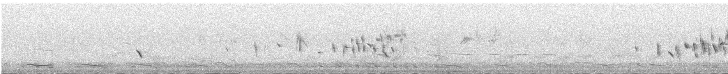 Northern Wheatear (Eurasian) - ML647080435