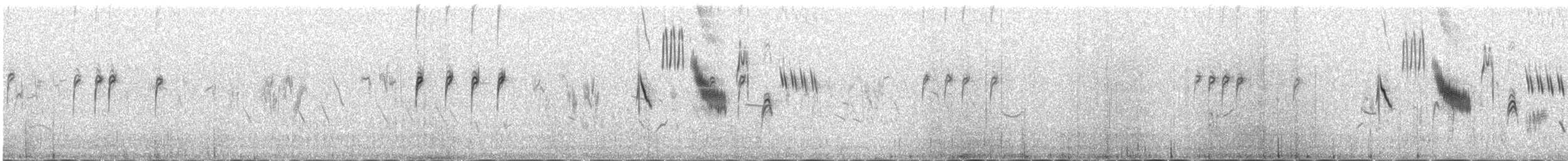 Brown Accentor - ML647080455