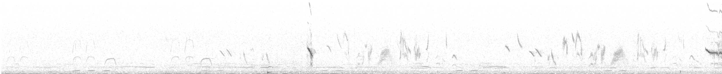 Boz Kuyrukkakan - ML647080459