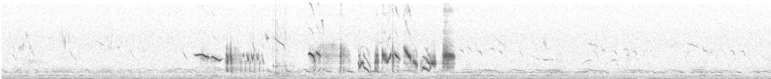 Boz Kuyrukkakan - ML647080461