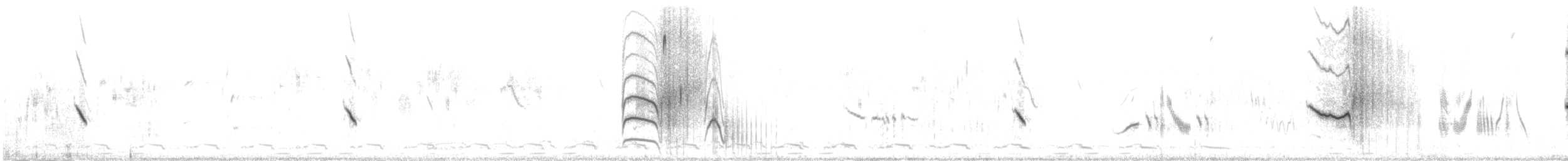 Boz Kuyrukkakan - ML647080462