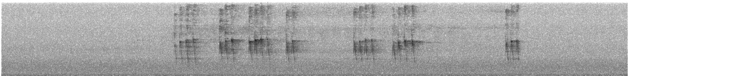 Çizgili Örümcekavcısı - ML647081066
