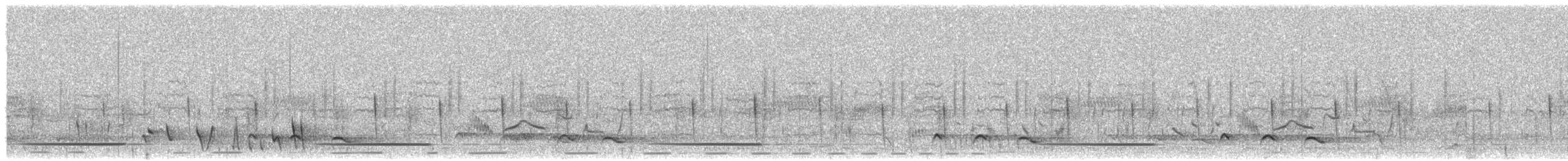 Doğulu Nikator - ML647081118