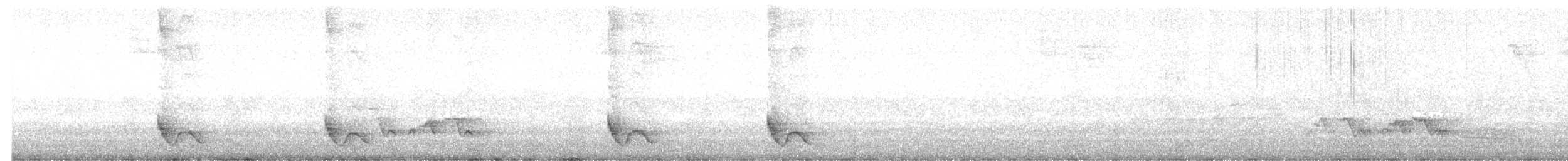 Kırlangıç Kuyruklu Manakin - ML647081396