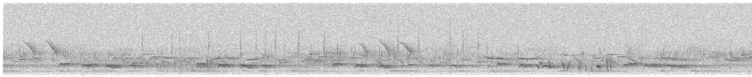 Doğulu Nikator - ML647081428