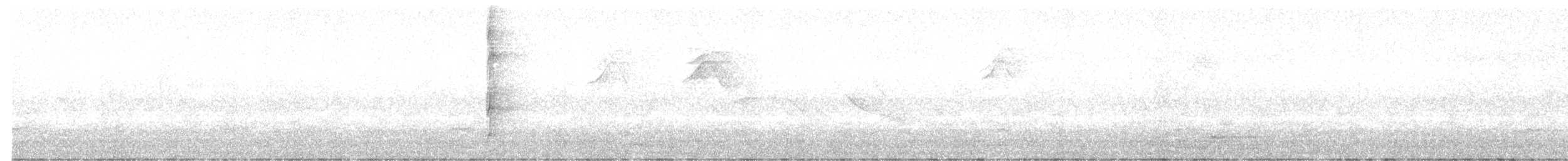 Çizgili Büyük Tiran - ML647081457