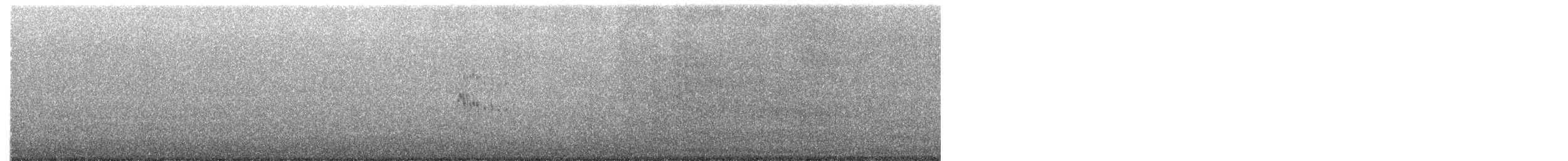 Black Turnstone - ML647081866